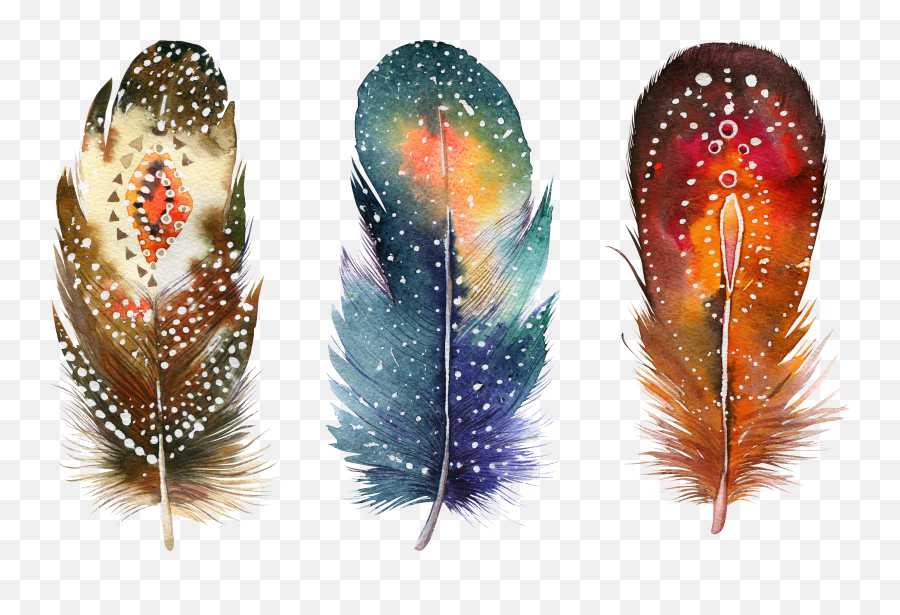 Download Hd Watercolor Painting Feather Png Drawing