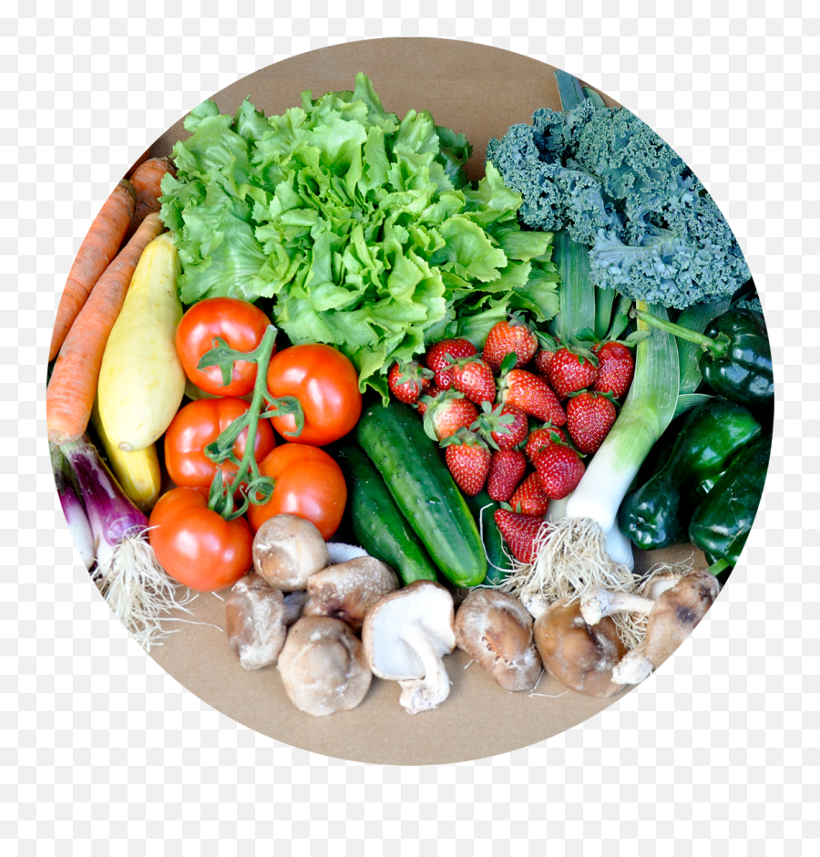 Download Veggie Lover Basket - Vegetables And Meat Vegetables In On Plate Png,Vegetables Transparent Background