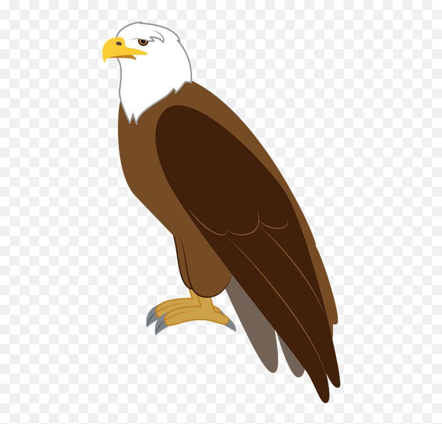 Eagle Clipart - Bald Eagle Png,Eagle Clipart Png
