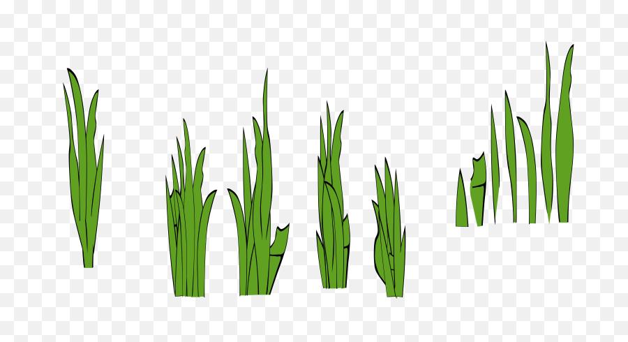 Free Grasses Cliparts Download Clip Art - Grass Clip Art Png,Grass Clipart Transparent