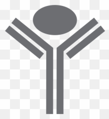 Proxim Diagnostics United States - Dot Png,Pct Medical Icon Heart