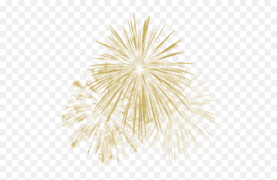 Gold Fireworks Feuerwerk Feudartifice - Transparent Background Fireworks Png,Gold Fireworks Png