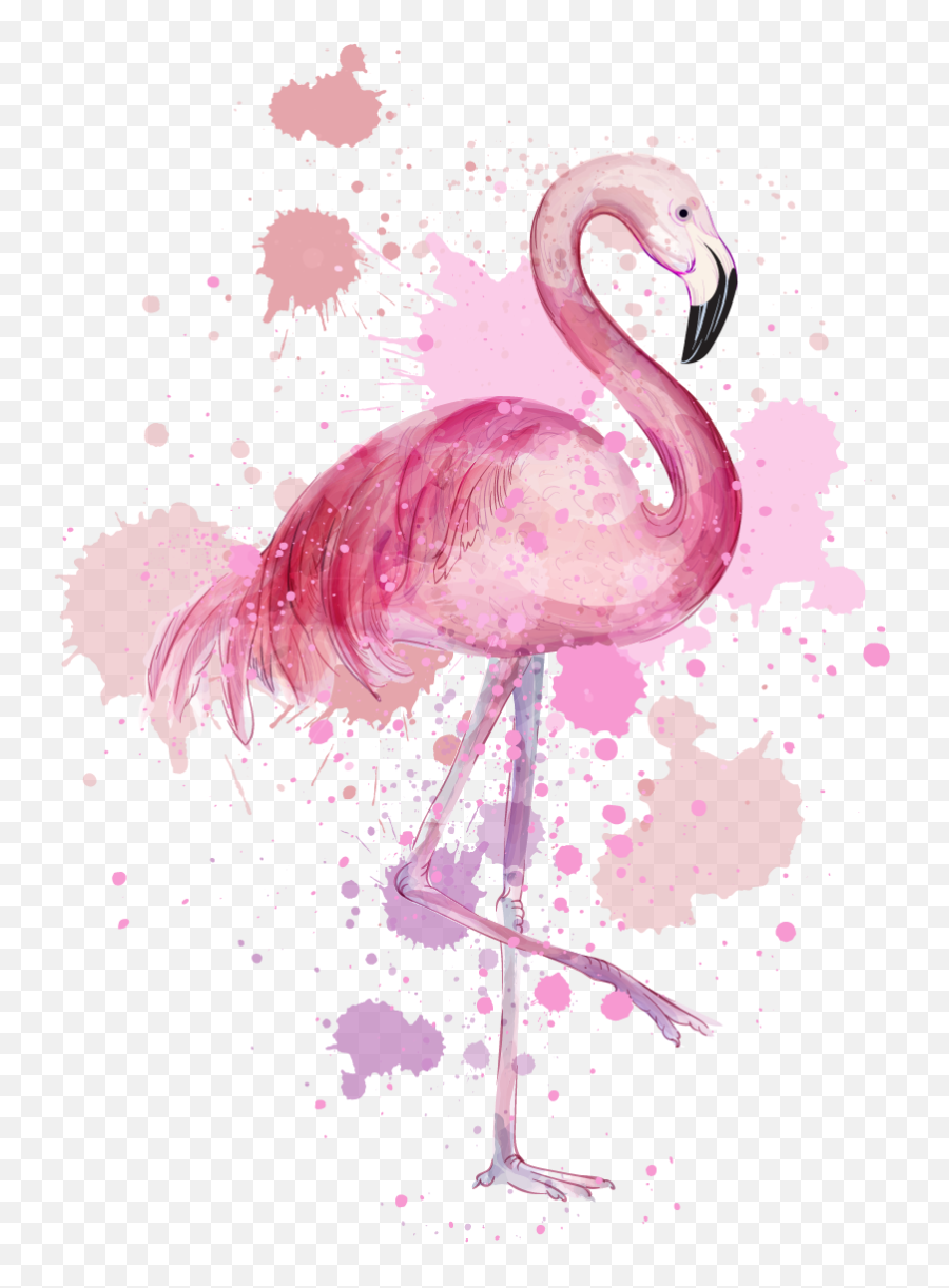 Png Pink Transparent Background Image - Flamingo High Resolution Drawing,Flamingo Transparent Background
