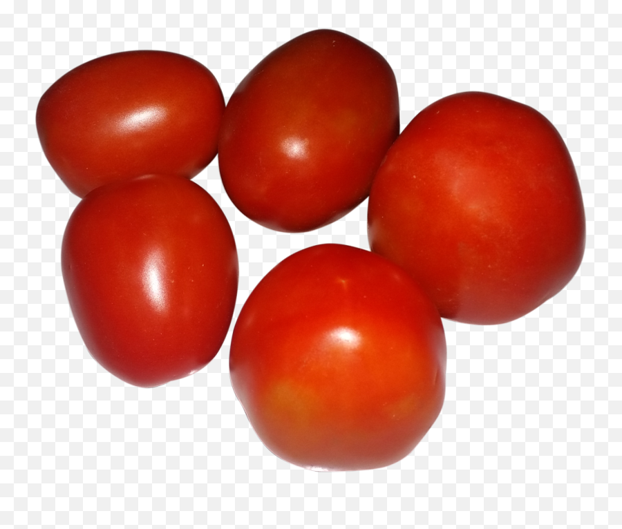 24 Tomato Clipart Tamatar Free Clip Art Stock Illustrations Png