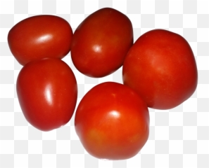 24 Tomato Clipart Tamatar Free Clip Art Stock Illustrations Png