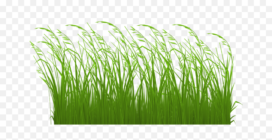 Grass Clipart Royalty Free Library - Transparent Tall Grass Clipart Png,Grass Clipart Png