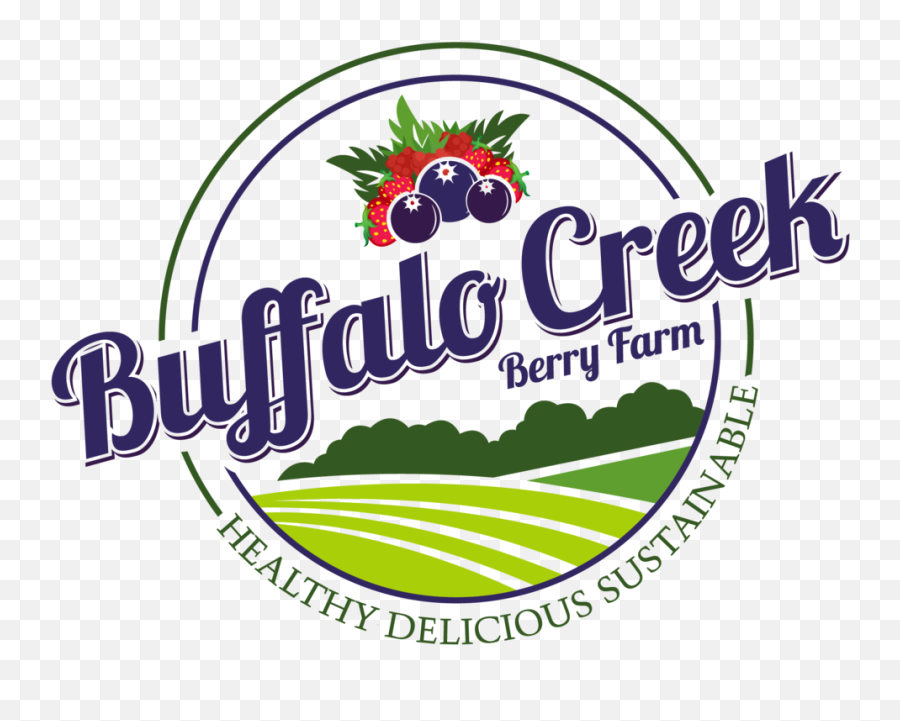 Buffalo Creek Berry Farm Ga Family Friendly - You Pick Png,Berries Png