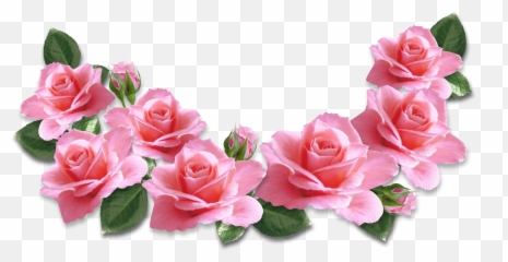 Download Pink Rose Png - Transparent PNG png images
