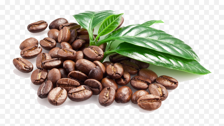Coffee Beans Png Clipart - High Resolution Coffee Beans Png,Coffee Clipart Png