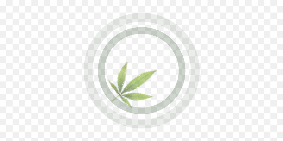 Growers Guide To Cannabis - Illustration Png,Cannabis Png