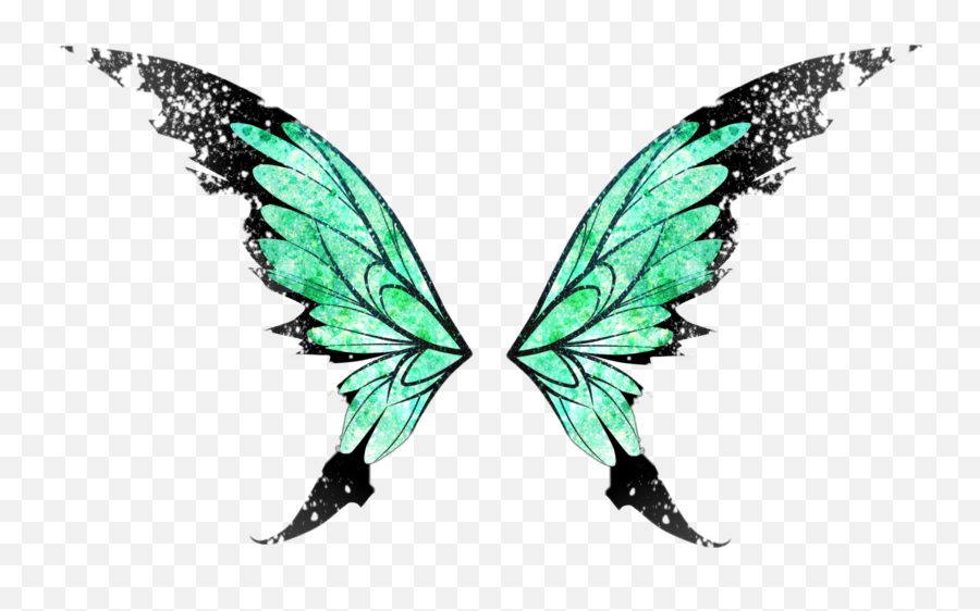 Download Butterfly Butterflywings Wings - Green Fairy Wings Transparent Png,Wing Png