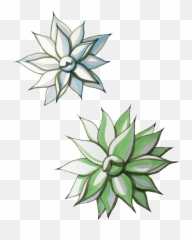 Pebble U2014 Natalie Harmon - Illustration Png,Agave Png
