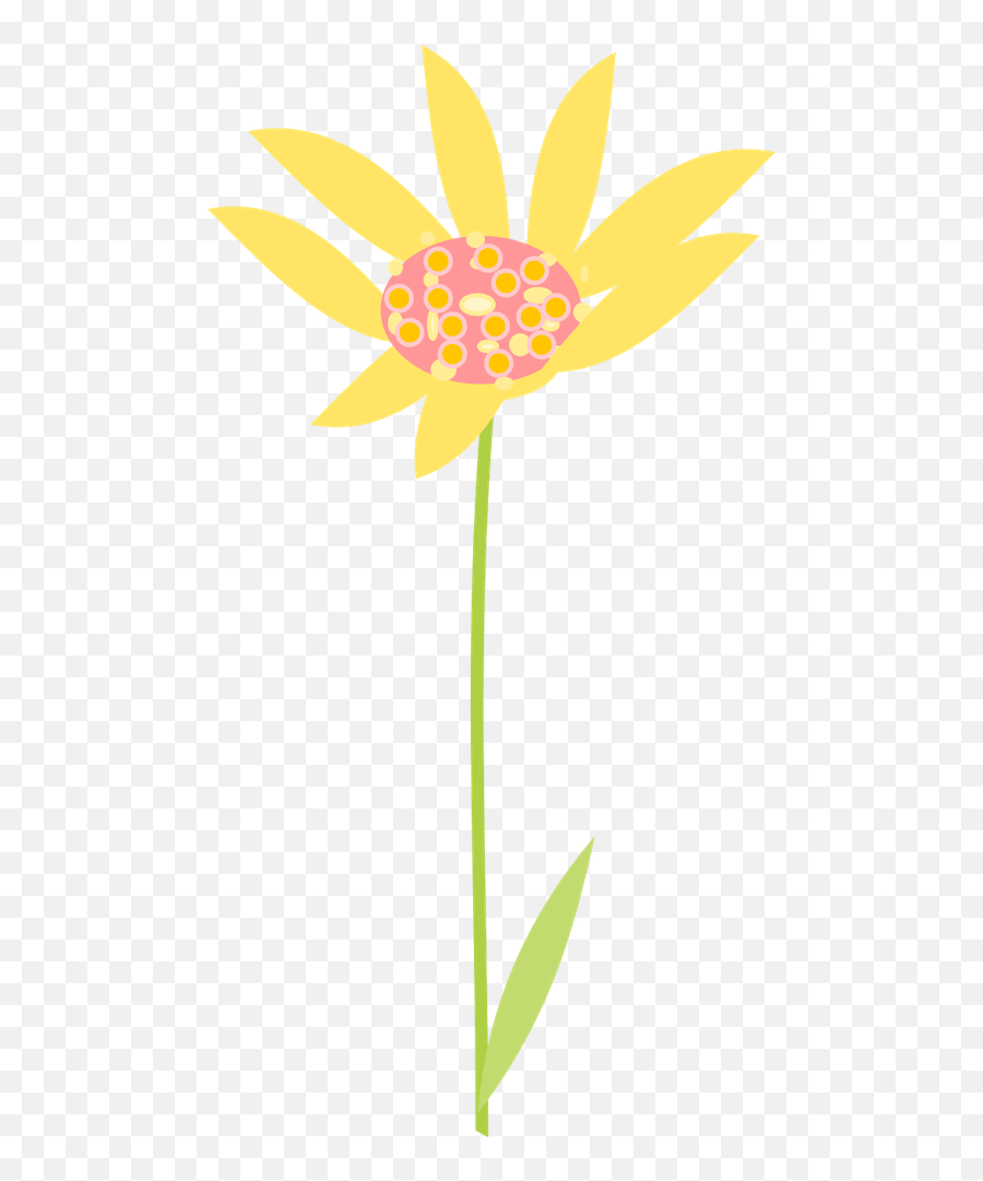 Free Graphics Of Flowers Download Clip Art - African Daisy Png,Flower Pngs