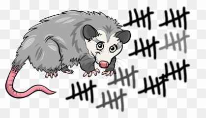 Possums - Down Kiwi Coast Northland Project Opossum Cartoon Png,Opossum Png