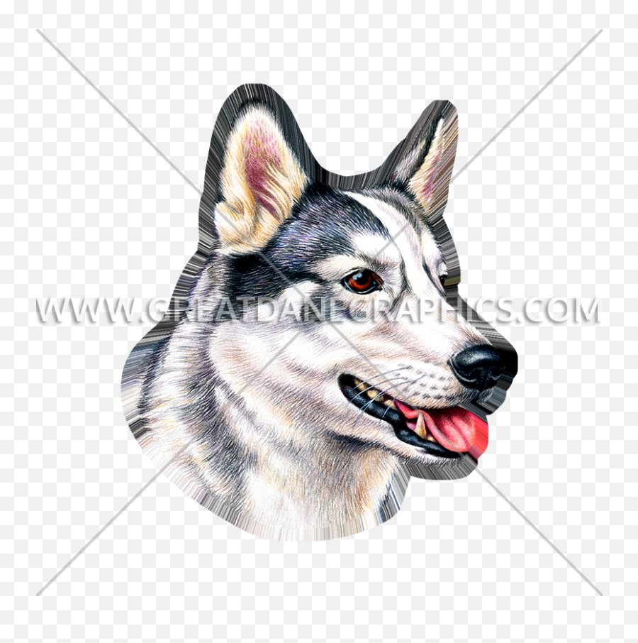 Husky Face - Siberian Husky Png,Husky Transparent Background