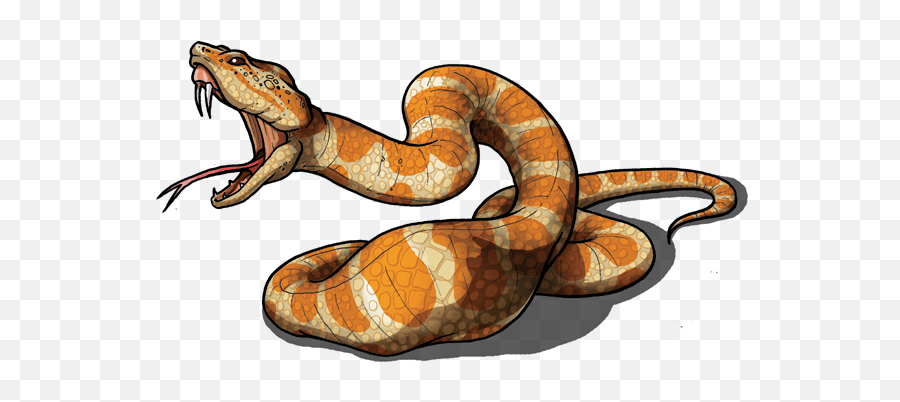 Zischer - Python Family Png,Rpg Png