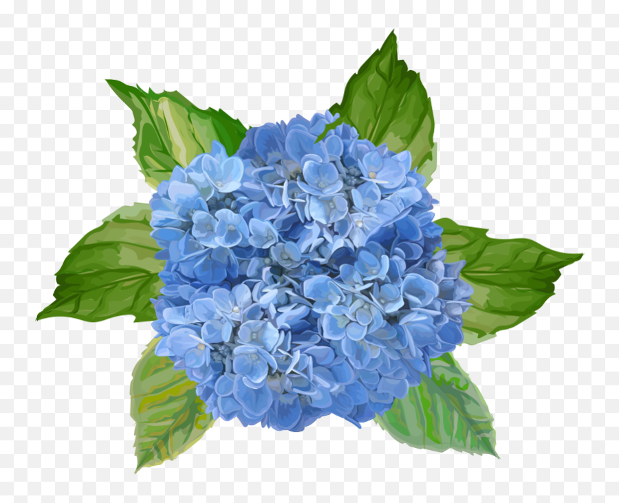 Blue Flowers Flower Wall Decal - Blå Blomster Png,Blue Flower Transparent
