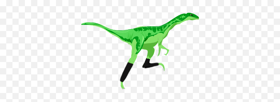 Dinoderm Raptor - Tyrannosaurus Png,Raptor Png