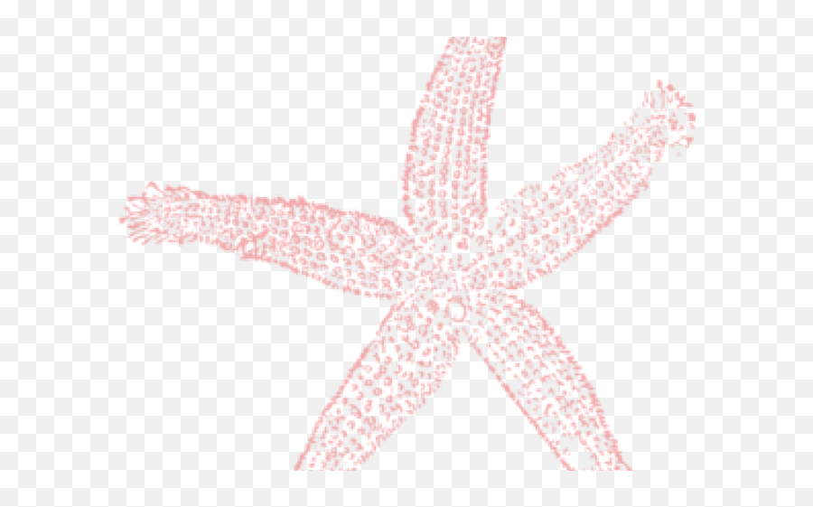 Download Starfish Clipart Face - Fish Clip Art Png Image Starfish Clip Art,Starfish Clipart Transparent Background