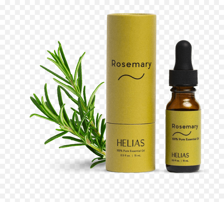 Rosemary Essential Oil - Skin Care Png,Rosemary Png