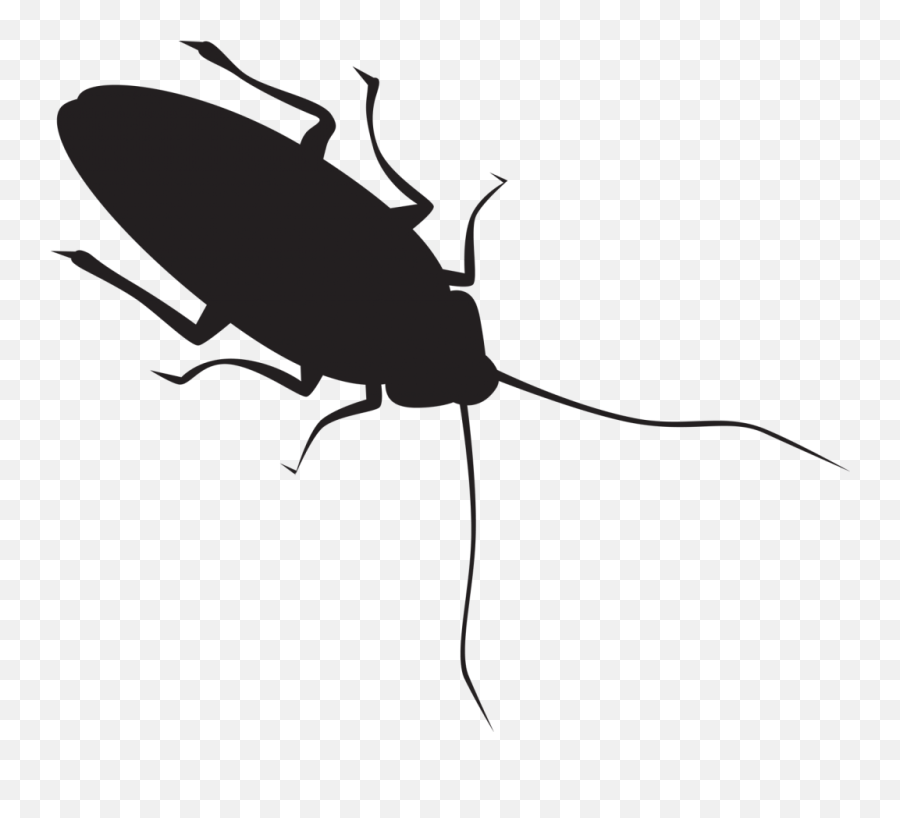 Download Pin By Heather Lindsey - Silhouette Of A Cockroach Png,Cockroach Png