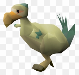 Chompy Chick - Osrs Wiki Osrs Chompy Chick Png,Big Bird Png