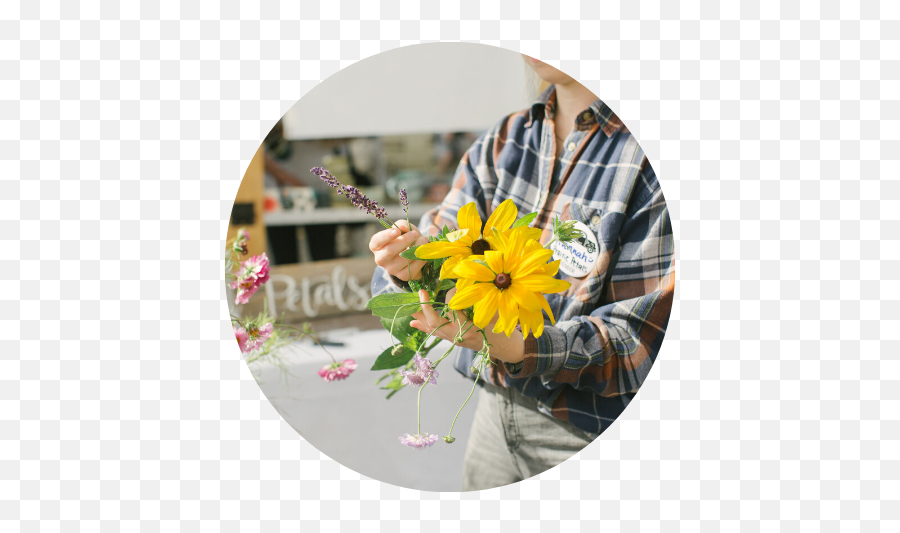 Floral U2014 Red River Market - Common Sunflower Png,Flower Petal Png