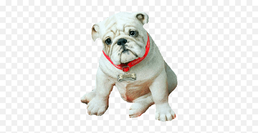 Dog Gif - Picmix Englische Bulldogge Welpen Png,Transparent Dog Gif