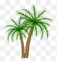 Palm Tree Png Trees Picture Branches - Date Clipart
