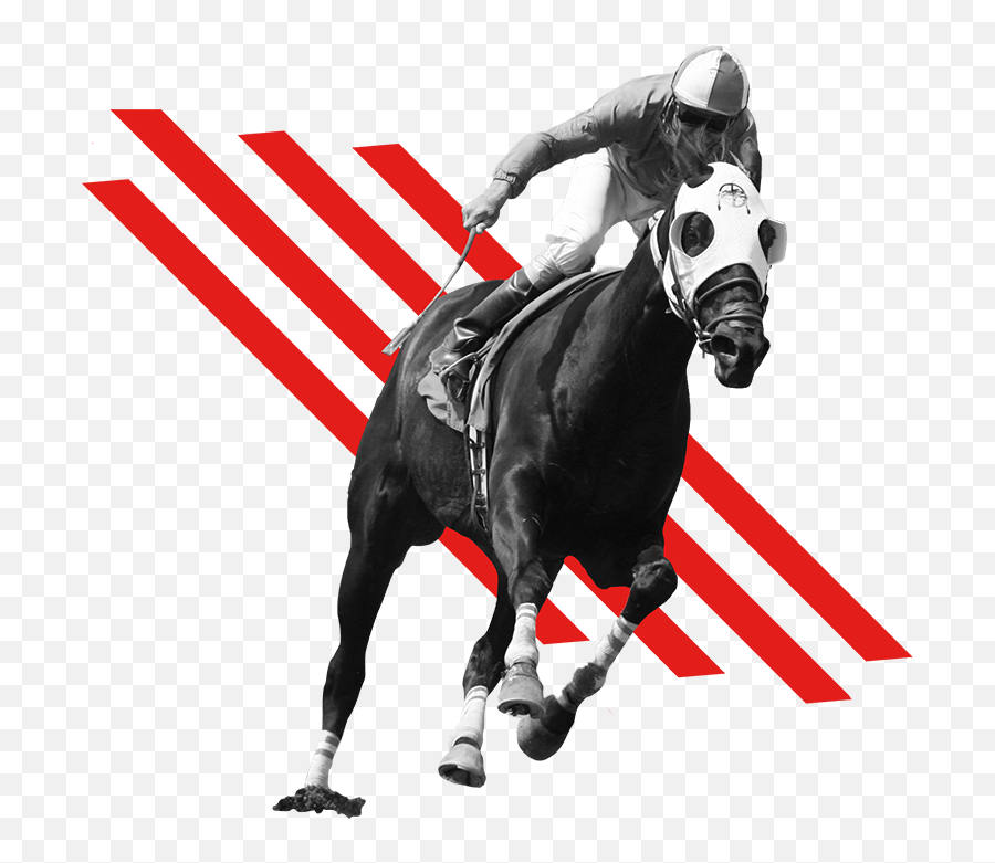 Home - Woodbine Racetrack Clip Art Transparent Horse Racing Png,Racing Icon