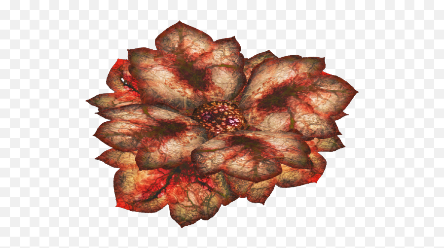 Bloodleaf - Flower Png,Fallout 4 Honeycomb Icon
