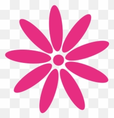 Lingerie Sale Uk Discount Swimwear U0026 Accessories Petals - Girly png