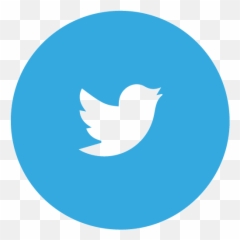 Contact The Mclean County Democrats - Vector Twitter Logo Svg png