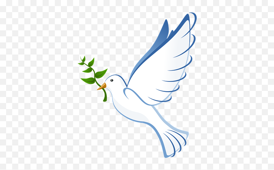 600 Free Dove Of Peace U0026 Images - White Dove Png,Dove Icon