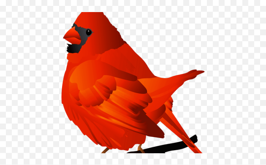 Cardinal Clipart Transparent - Clip Art Png,Cardinal Png