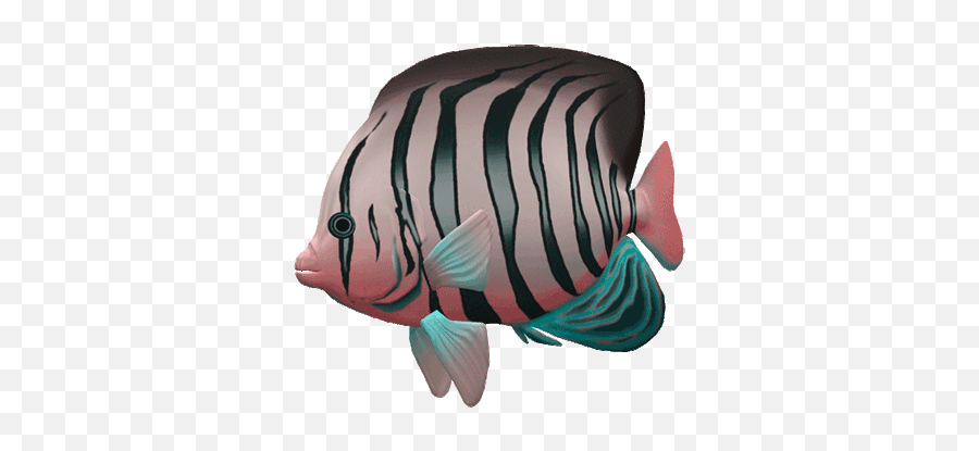 Great Aquarium Fish Gif Images - Gif Animation Fish Png Gif,Transparent Fish  - free transparent png images 
