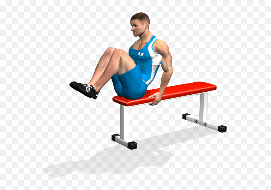 Download Seated Flat Bench Leg Pull In Involved Muscles - Addominali Bassi Su Panca Png,Muscles Png