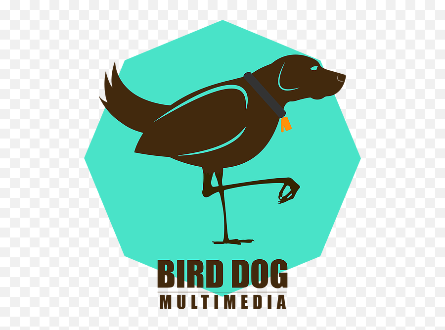 Photography Videography Bird - Dog Multimedia Illustration Png,Dog Logo