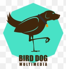 Photography Videography Bird - Dog Multimedia Illustration Png,Dog Logo