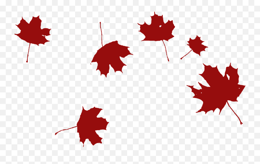 Maple Falling Wind - Free Vector Graphic On Pixabay Grape Leaf Clip Art Png,Autumn Leaves Png