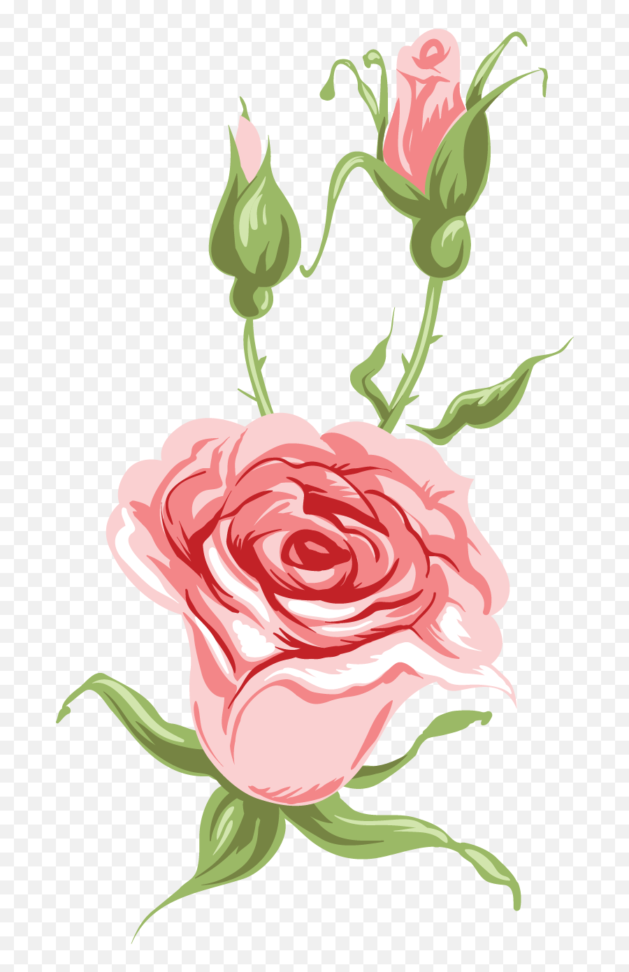 Free Png Downloads - Garden Roses,Florals Png