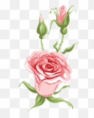 Free Png Downloads - Garden Roses,Florals Png