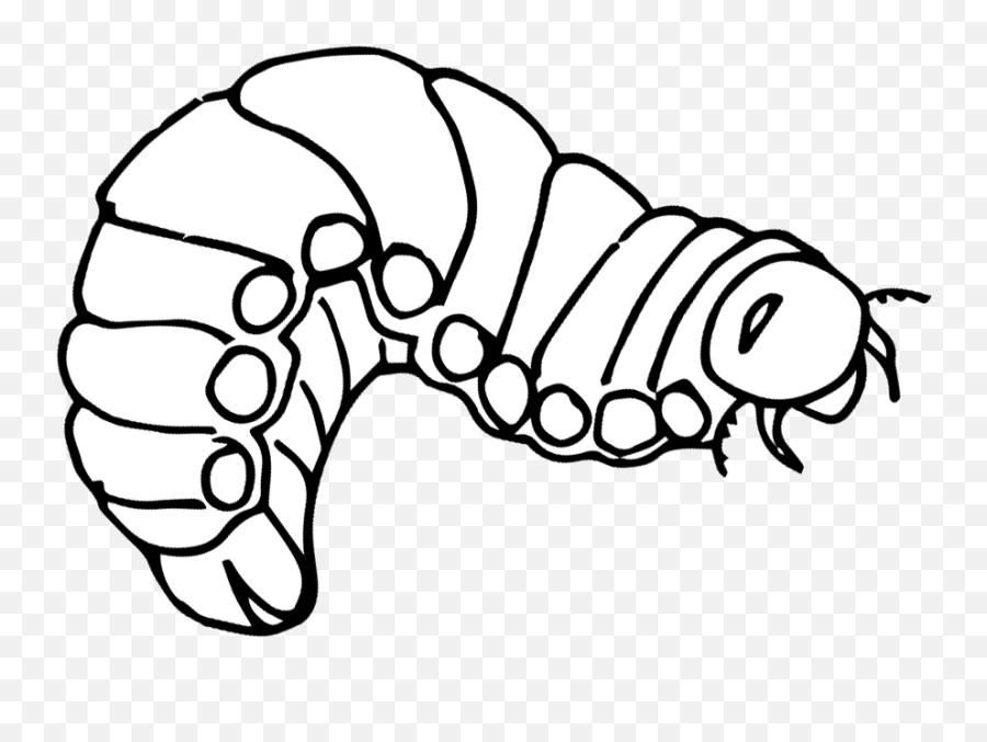 Rhinoceros Beetle Clipart - Caterpillar Png Download Line Art,Caterpillar Png