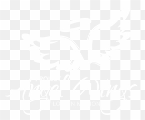 Project Angel Wings Love Motion - Legacy png