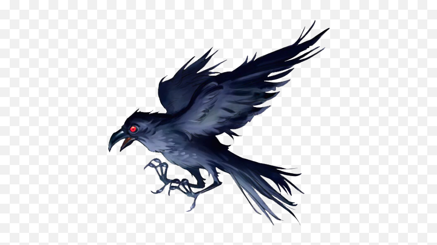 Crows Gallowmere Historia Fandom - Macaw Png,Crows Png