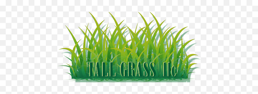 Home - Sweet Grass Png,Tall Grass Png