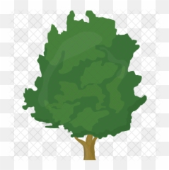 Walnut Tree Icon - Plane Png,Walnut Png