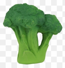 Oliu0026carol Brucy The Broccoli - De Broccoli Png,Brocoli Png