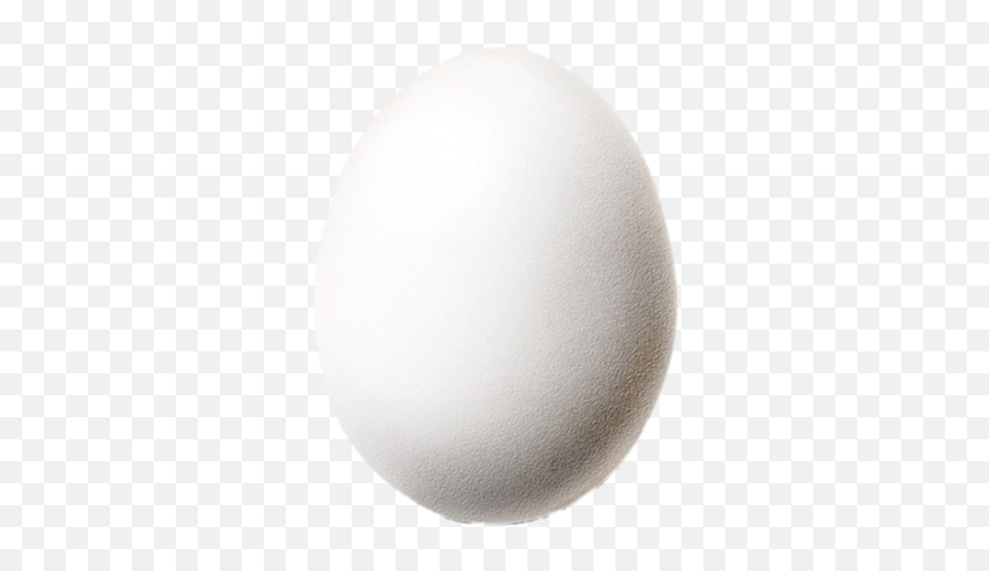 White Fried Egg Eggs Download Free Image U2013 Png Images - Snowball Earth Period,Fried Eggs Png