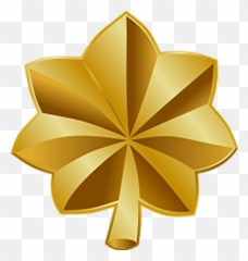 Us Army Ranks Military Wiki Fandom - Major Rank Insignia Png,Us Army Png